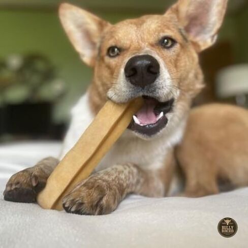 Bully Bunches Extra Large Authentic Yak Cheese Himalayan Chews for Large Dogs & Aggressive Chewers - All Natural Dog Treat Dental Chews, Made with Real Yak Milk - Lactose & Rawhide Free (2 PK) in Saudi Arabia