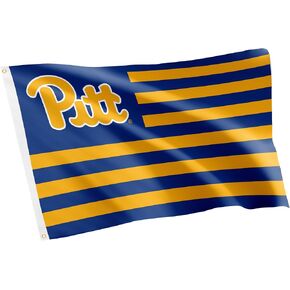 Desert Cactus University of Pittsburgh Flag Panthers Pitt Flag Banners 100% Polyester Indoor Outdoor 3x5 feet Flags (Style Nation)