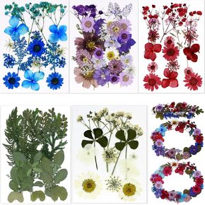 BIHRTC 100PCS Died Pressed Flowers Natural Colorful Pressed Flowers Real Dry Flowers Leaves Set Died Flowers for Resin Jewelry Making DIY Craft Candle Nail Art in Kuwait