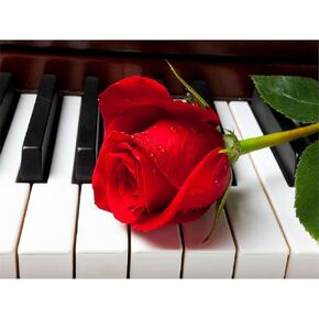 Zimal Crafts Needlework DIY Piano Rose Diamond Painting Music Flowers Diamond Embroidery Full Round Mosaic Picture by Number 11.8 x 15.8 Inch