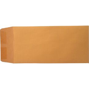 Blank License Plate Envelopes (Moisten and Seal Flap) (100 Per Pack)