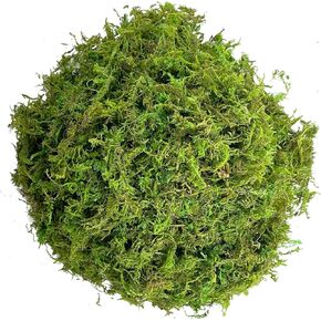 Green Moss for Crafts Artificial Moss Decorative Moss for Potted Plant Faux Orchid Moss Potting Mix Soil Peat Sphagnum Moss Pole Craft Arts Floral Wedding Decor Fairy Garden Terrariums Decoration in Kuwait