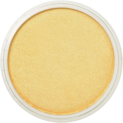 PanPastel Artist Pastels by GOLDEN, Light Gold, 2.44" / 62mm Pan Diameter, Professional Artist Pastels, Unique Pan Format (cake-like) in Saudi Arabia