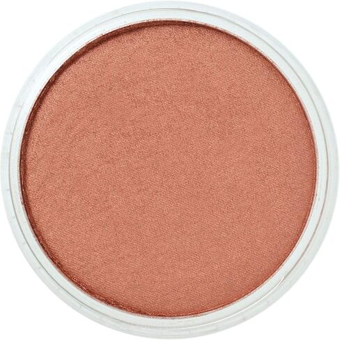 PanPastel Artist Pastels by GOLDEN, Light Gold, 2.44" / 62mm Pan Diameter, Professional Artist Pastels, Unique Pan Format (cake-like) in Saudi Arabia