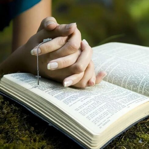 12 قطعة دليل قراءة دراسة الكتاب المقدس اليومي قراءة الكتاب المقدس في عام خطة قراءة دراسة الكتاب المقدس الإشارات المرجعية أفضل الهدايا للمؤمنين والباحثين عن الكتاب المقدس إشارة مرجعية للكتاب المقدس ودليل قراءة الكتاب المقدس in Kuwait