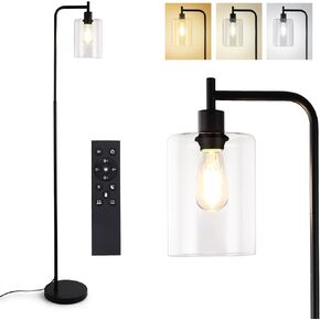 Industrial Floor Lamp, Dimmable Modern Standing Lamp with Clear Glass Shade, Black Tall Lamp with Remote & Foot Control, LED Bright Corner Lamp with 6W Bulb for Living Room Bedroom Office…