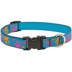LupinePet Originals 3/4" Wet Paint 13-22" Adjustable Collar for Medium and Larger Dogs