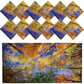 Hortsun 12 Pcs Fluorescent Light Covers, 4 x 2 ft Magnetic Fluorescent Light Filters to Relieve Eyestrain and Headaches for Home, Office, Hospital, Teacher Classroom Decoration (Beach and Bird)