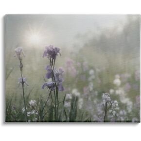 Stupell Industries Morning Violet Field Blooming Sung Glare Photography Canvas Wall Art, 20 x 16, Green