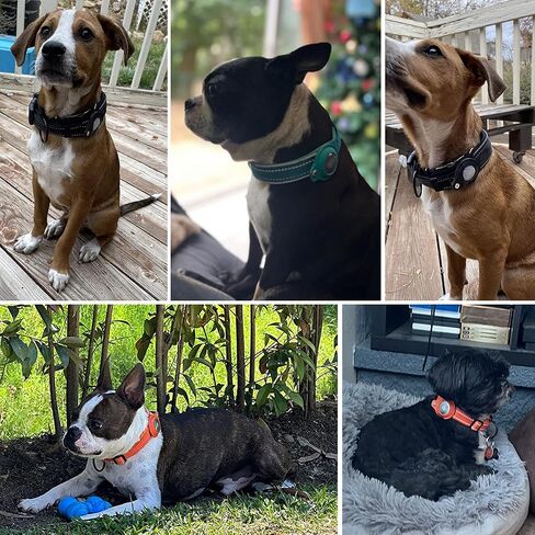 Reflective AirTag Dog Collar, Padded Heavy Duty Dog Collar with Air Tag Holder Adjustable for Small Medium Large Pet Dogs, Black, M in Saudi Arabia