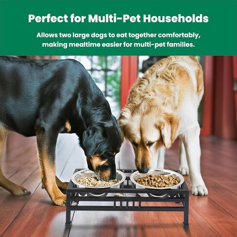 Iconicpet Elevated Rectangular Pet Double Diner with Stainless Steel Bowls for Dogs and Cats, Durable, Dishwasher Safe Bowls - Small, 16 Oz in Saudi Arabia
