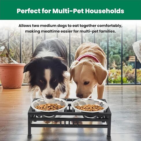 Iconicpet Elevated Rectangular Pet Double Diner with Stainless Steel Bowls for Dogs and Cats, Durable, Dishwasher Safe Bowls - Small, 16 Oz in Saudi Arabia
