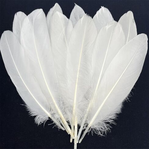 100pcs Red Goose Feathers 6-8 Inch for Crafts Wedding Party Decorations Clothing Hats Accessories Dream Catchers Making in Kuwait