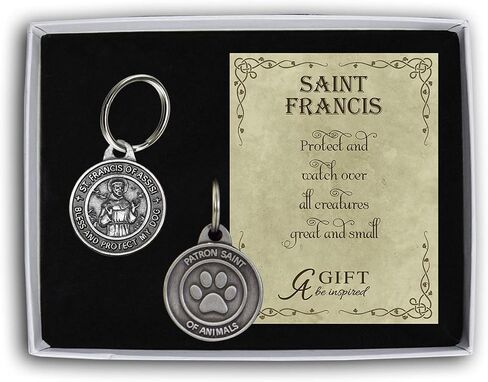 Cathedral Art (Abbey & CA Gift Dog Tag-St. Francis, One Size, Multicolored in Saudi Arabia