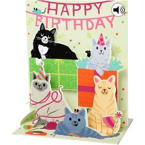 Up With Paper Pop-Up Sight 'N Sound Greeting Card - Feline Birthday, green, black, grey, orange, white