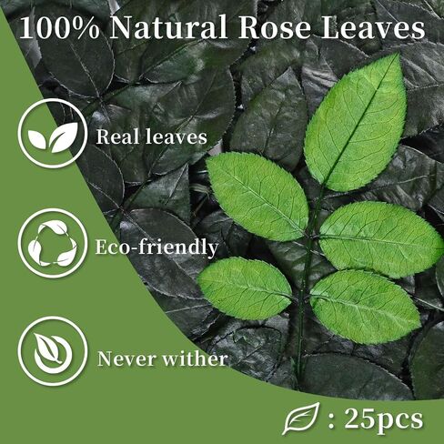 45 PCS Real Green Leaves Rose Flower Leaves - Natural Dried Preserved Greenery Leaves, for Centerpieces Room Decor , Wedding Bridal Bouquets , DIY Art Crafts in Saudi Arabia