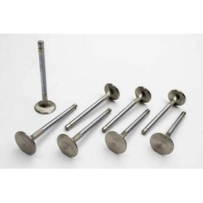 Manley 105528 Valves