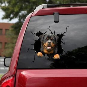 ChichuangK Funny Rottweiler crack 3D car sticker decoration, decal, SUV window glass sticker, personalized refrigerator toilet GJ0000152-899-1705191791