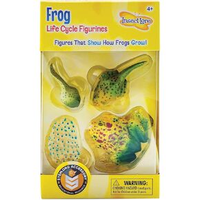 Insect Lore Frog Life Cycle Stages