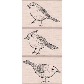 مجموعات خشبية من Hero Arts LL376 Ink 'n' Stamp، مطبوعات حيوانات