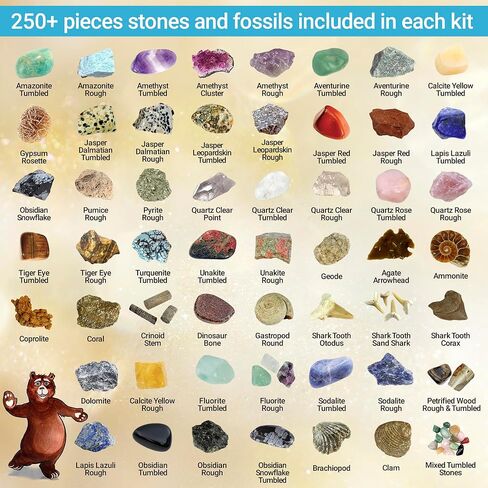 DANCING BEAR Rock, Mineral & Geodes Treasure Hunt Activity Kit (250 Pc Set) Real Shark Teeth Fossils, ID Sheet & Rock Book, STEM in Saudi Arabia