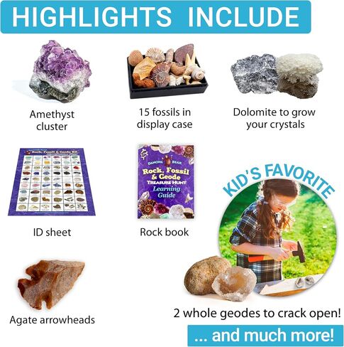 DANCING BEAR Rock, Mineral & Geodes Treasure Hunt Activity Kit (250 Pc Set) Real Shark Teeth Fossils, ID Sheet & Rock Book, STEM in Saudi Arabia