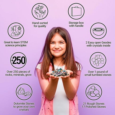 DANCING BEAR Rock, Mineral & Geodes Treasure Hunt Activity Kit (250 Pc Set) Real Shark Teeth Fossils, ID Sheet & Rock Book, STEM in Saudi Arabia
