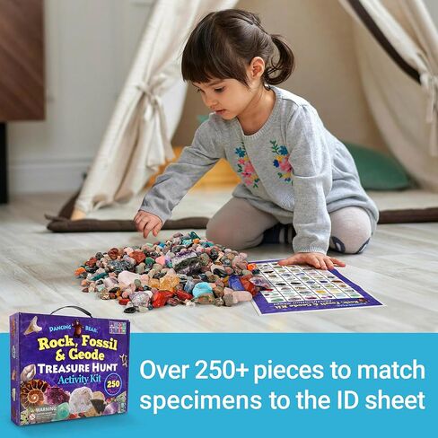 DANCING BEAR Rock, Mineral & Geodes Treasure Hunt Activity Kit (250 Pc Set) Real Shark Teeth Fossils, ID Sheet & Rock Book, STEM in Saudi Arabia