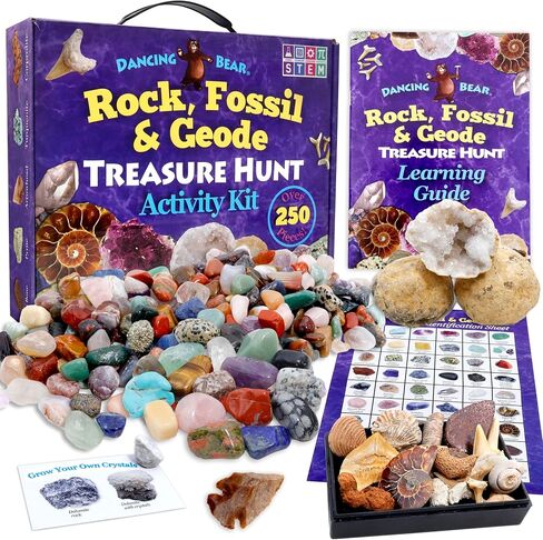 DANCING BEAR Rock, Mineral & Geodes Treasure Hunt Activity Kit (250 Pc Set) Real Shark Teeth Fossils, ID Sheet & Rock Book, STEM in Saudi Arabia