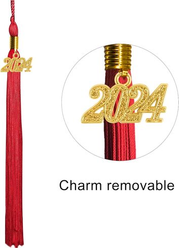 GraduationMall Single&Multiple Color Graduation Tassel with 2026 Year Charm 9" in Saudi Arabia