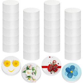 24 Pcs Foam Circles Polystyrene Foam Discs Foam Cylinders for Crafts Round Foam White Disk Shapes Foam Block for DIY Arts Craft Sculpture Modeling Kids Class Floral Supplies(6 x 6 x1 Inch)