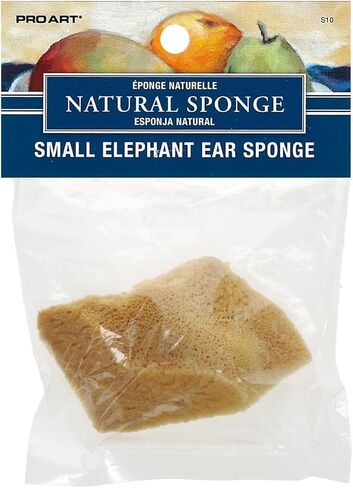 PRO ART Natural Sponge in Kuwait