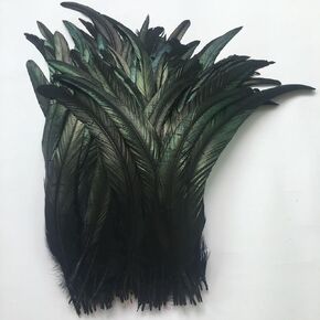 Sowder Black Rooster Coque Tail Feathers 12-14inch Lengh Pack of 50