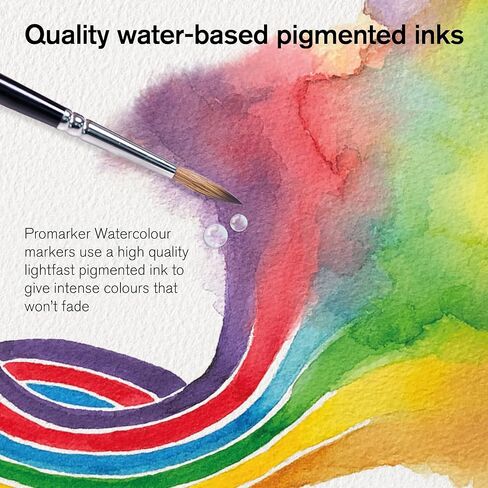 مجموعة أقلام التحديد المائية Winsor & Newton ProMarker، عدد 12، ألوان طبيعية in Kuwait