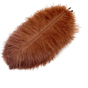 6-8inches（15-20cm ）Colorful Ostrich Feathers DIY Craft Feather for Home Wedding Party Decoration (Black, 20pcs)