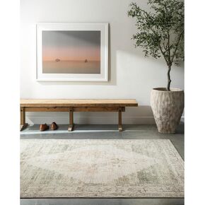 Livabliss x Becki Owens Luca Medallion Area Rug , 6'7" x 9', Pewter