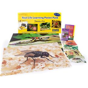 Stages Learning Materials Toddler Education Pets Posters for Class Real Photo Decor for Preschool Bulletin Boards & Circle Time 14 Large Picture Cards
