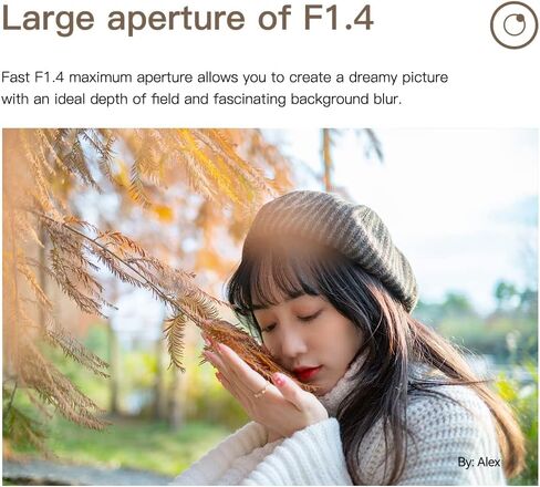 TTArtisan 23mm F1.4 APS-C Manual Focus Lens for Panasonic/Olympus MFT M4/3 Mount epm1 emp2 E-PL1 E-PL2 E-PL3 E-PL5 E-PL6 G2 G3 G5 G6 G7 G9 GH1 GH2 GH3 GH4 GH5 GH5S Black and Silver in Saudi Arabia