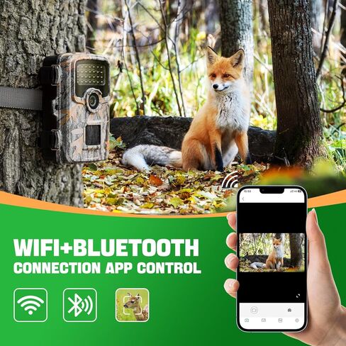 ترسل كاميرا Trail صورة إلى الهاتف الخلوي، وكاميرا WiFi Trail بدقة 48 ميجابكسل، وكاميرا Trail مع 28 قطعة من كاميرات ألعاب LED غير متوهجة 940 نانومتر مع رؤية ليلية مع نطاق 120 درجة، وسرعة تشغيل 0.1 ثانية in Kuwait