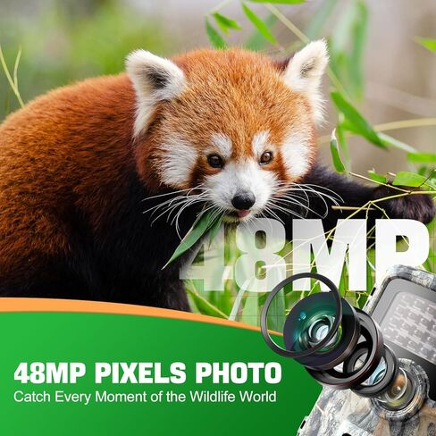 ترسل كاميرا Trail صورة إلى الهاتف الخلوي، وكاميرا WiFi Trail بدقة 48 ميجابكسل، وكاميرا Trail مع 28 قطعة من كاميرات ألعاب LED غير متوهجة 940 نانومتر مع رؤية ليلية مع نطاق 120 درجة، وسرعة تشغيل 0.1 ثانية in Kuwait