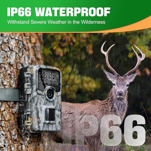 ترسل كاميرا Trail صورة إلى الهاتف الخلوي، وكاميرا WiFi Trail بدقة 48 ميجابكسل، وكاميرا Trail مع 28 قطعة من كاميرات ألعاب LED غير متوهجة 940 نانومتر مع رؤية ليلية مع نطاق 120 درجة، وسرعة تشغيل 0.1 ثانية in Kuwait