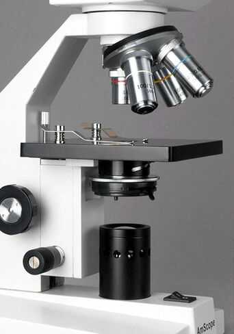 AmScope B100 Compound Binocular Microscope, 40X-1000X Magnification, Brightfield, Tungsten Illumination, Abbe Condenser, Plain Stage in Saudi Arabia