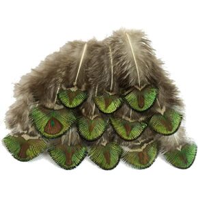 Sowder 10pcs Silver Pheasant Plumage Feathers 7-10 Inches Home Wedding Decoration
