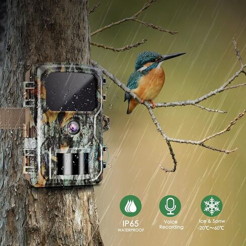 Trail Camera WiFi Game Camera，30MP 2K Resolution with Night Vision Motion Activated, 0.2s Trigger Speed, IP65 Waterproof, 120° Wide Angle Wildlife Hunting Camera in Saudi Arabia