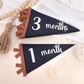 12 PCS Baby Monthly Milestone Felt Pennant - Navy Blue 1 to 12 Months Milestone Photo Props, Newborn Growth Record Triangle Banner, First Year Pennant Milestone Signs, Boys Monthly Pennant Photo Props