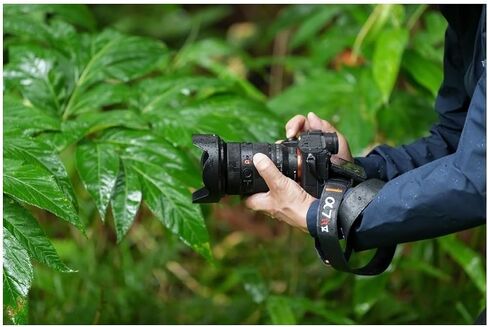 كاميرا Sony Alpha 7 Mark V كاملة الإطار بدون مرآة - عدسة قابلة للتبديل، وقدرات فيديو 4K، وحزمة تقنية التركيز التلقائي المتقدمة مع برامج التحرير، وعدسة 117-50 مم، والملحقات (6 عناصر) in Saudi Arabia