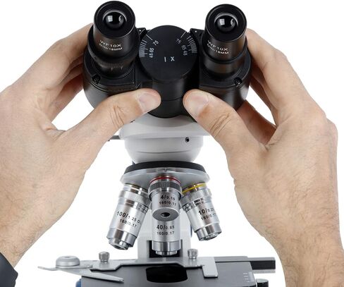 AmScope Exclusive 40X-1000X Advanced Student and Professional Compound Microscope w/Ergonomic Design in Saudi Arabia