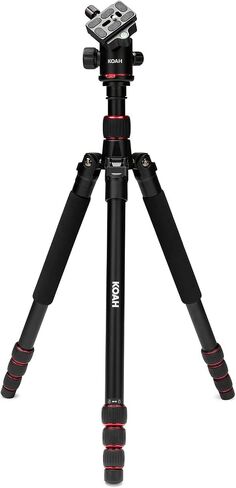 مجموعة هيكل كاميرا Sony Alpha a7R V كاملة الإطار بعدسة قابلة للتبديل مع بطاقة ذاكرة CFexpress Type A سعة 320 جيجابايت من سوني، حقيبة ظهر، حامل ثلاثي للكاميرا، حزمة بطارية قابلة لإعادة الشحن 2,280 مللي أمبير في الساعة (5 قطع) in Saudi Arabia