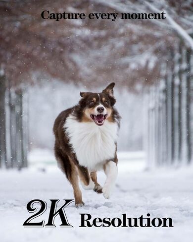 MUBVIEW Light Bulb Security Camera Outdoor Waterproof, 5GHz/2.4GHz WiFi Wireless Light Socket Security Camera, 2K Bulb Camera with Color Night Vision AI Human Detection, Compatible with Alexa in Kuwait