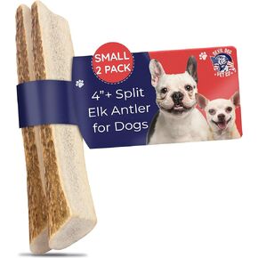Devil Dog Pet Co. Elk Antlers for Dogs, Medium 5"+, 1 Pack, Grade A Long Lasting Chew for Aggressive Chewers, Premium USA Naturally Shed Antler – Healthy, No Odor, Durable Dog Chew